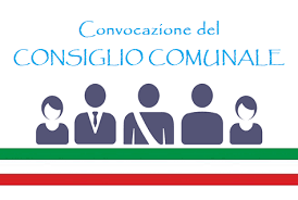 Immagine: Consiglio comunale
