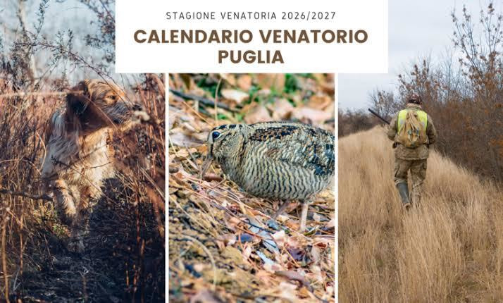 Immagine: Calendario venatorio 2026-2027