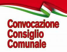 Immagine: Consiglio comunale