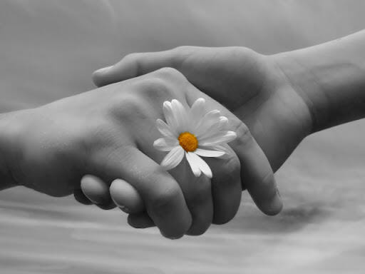 Immagine: Pro.V.I